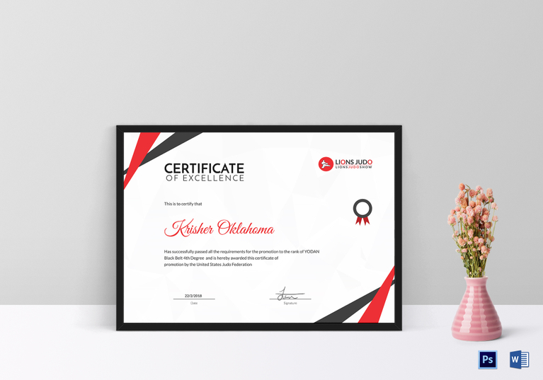 Judo Excellence Certificate Design Template in PSD, Word