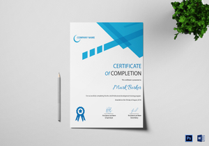 professional certificate designs templates in word psd