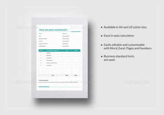 Trial Balance Worksheet Template in Word, Excel, Apple Pages, Numbers