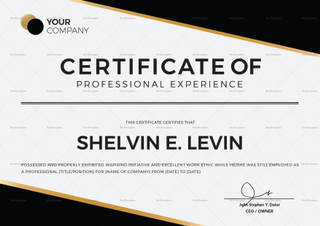 Professional Experience Certificate Template in PSD, Word, Illustrator ...