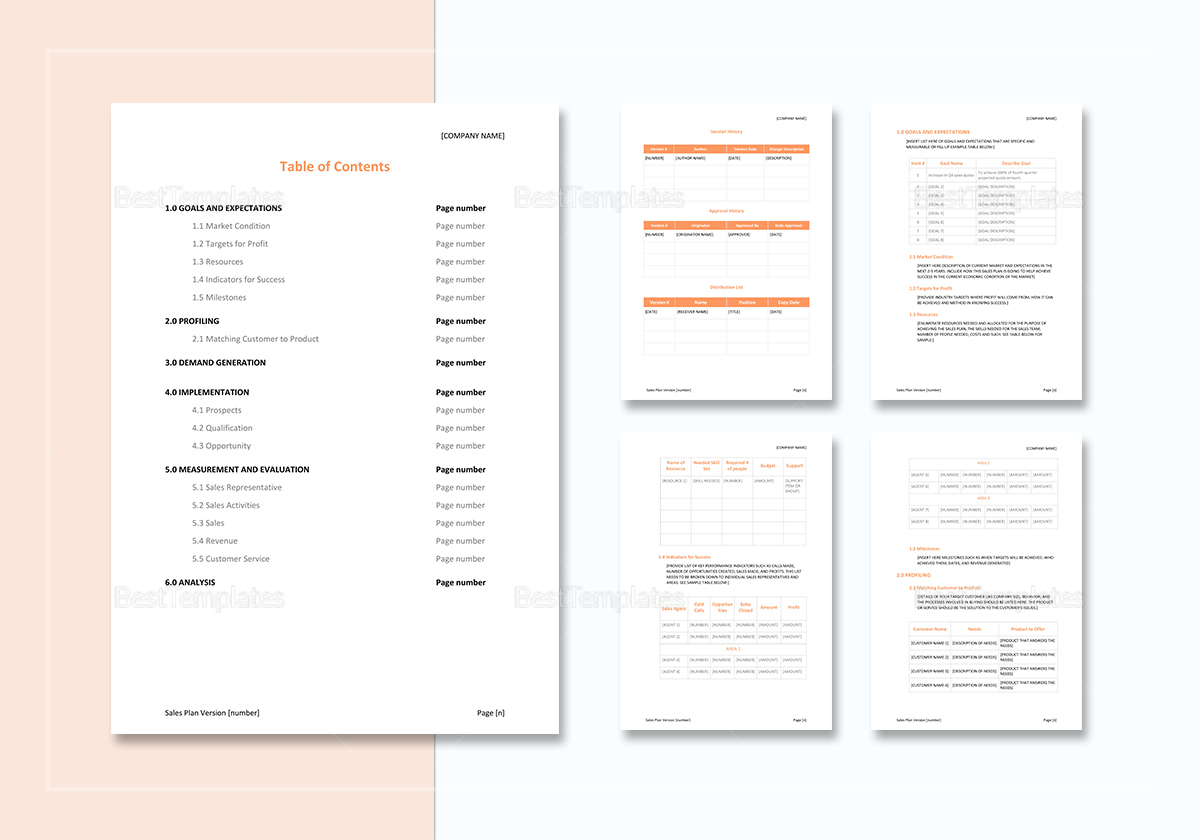 Sample Sales Plan Template