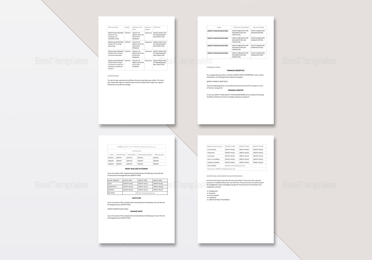 Sample Business Plan Template in Word, Google Docs, Apple Pages