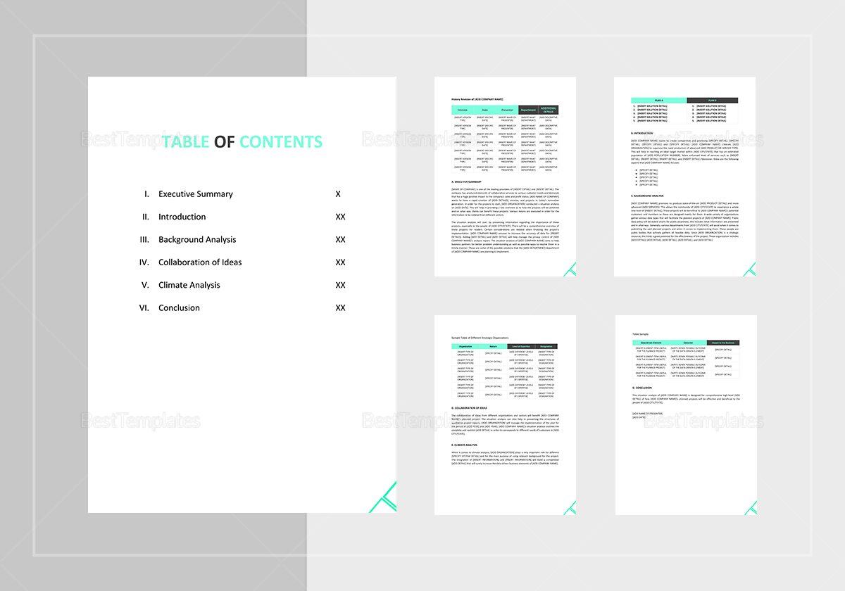 Situation Analysis Template In Word Google Docs Apple Pages