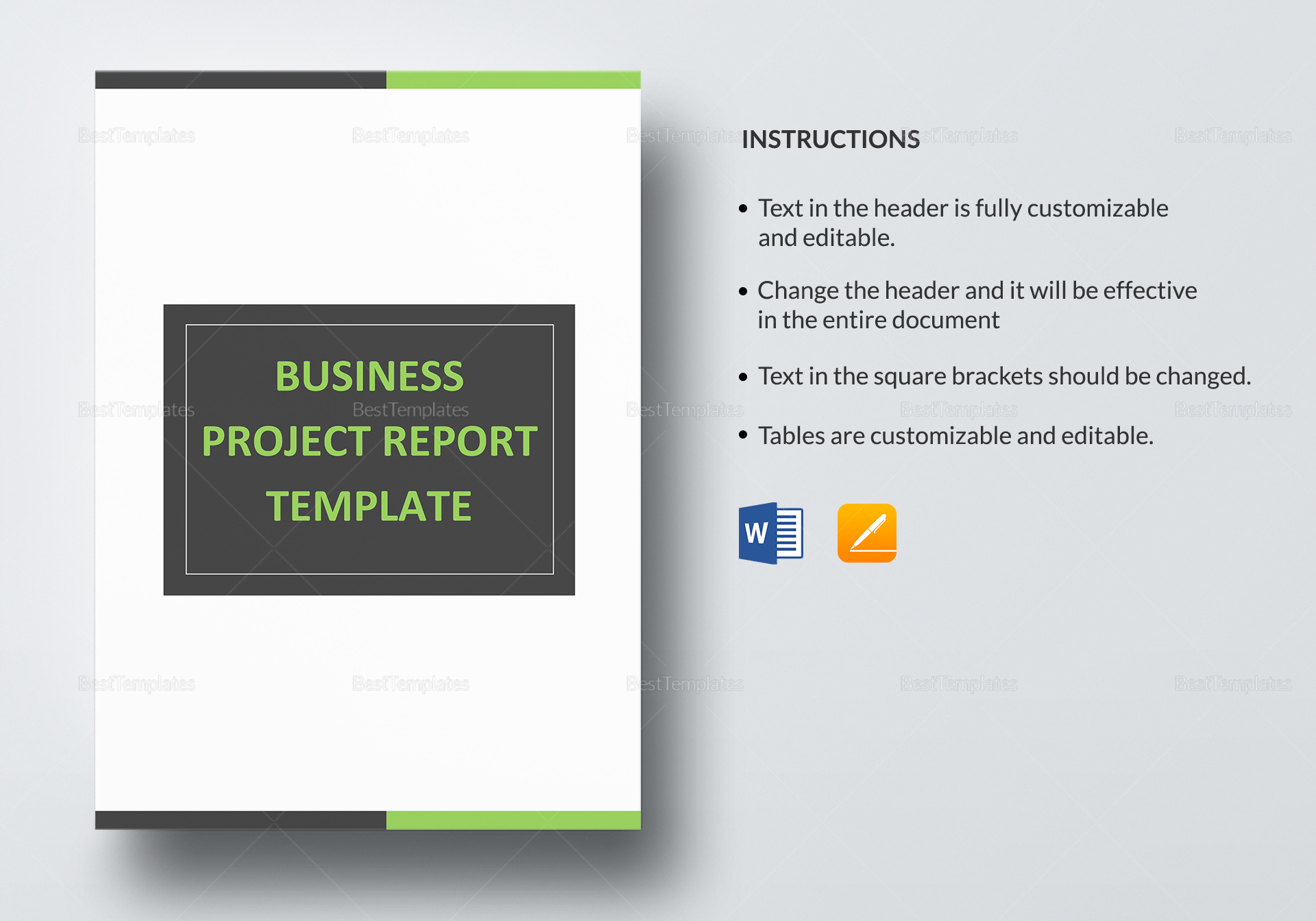 new business project report format