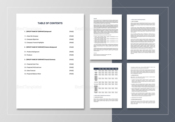 Handover Report Template in Word, Google Docs, Apple Pages