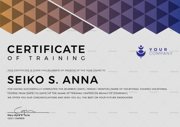 Vocational Training Certificate Design Template in PSD, Word, Publisher ...