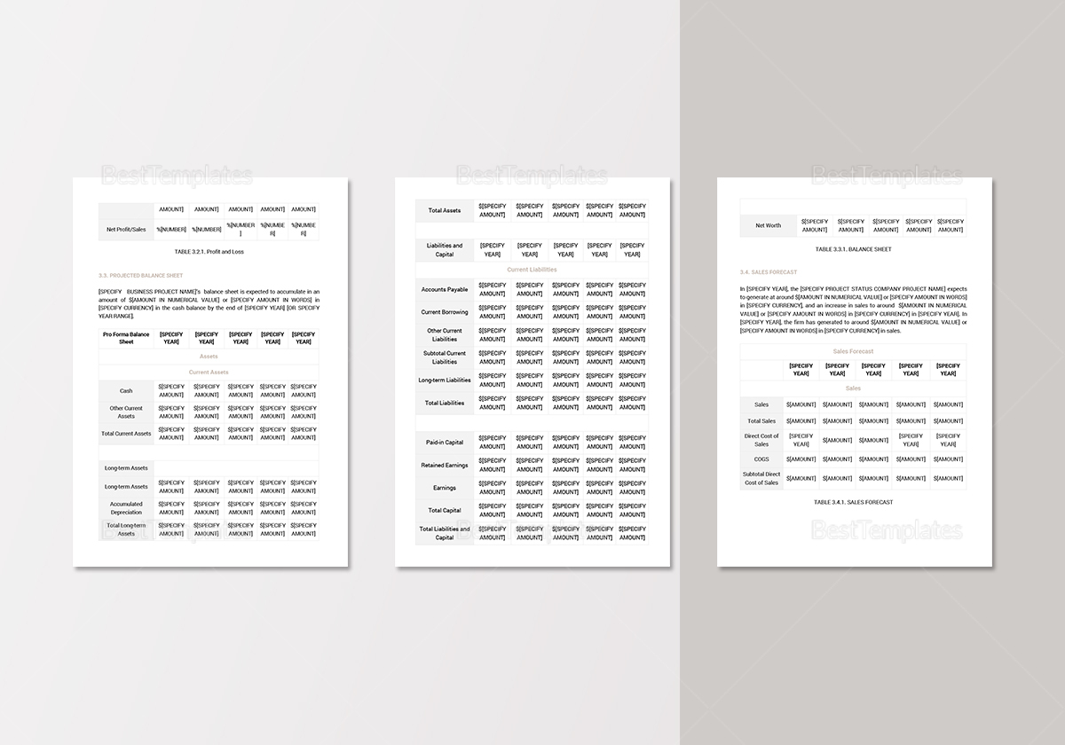 Project Status Report Template