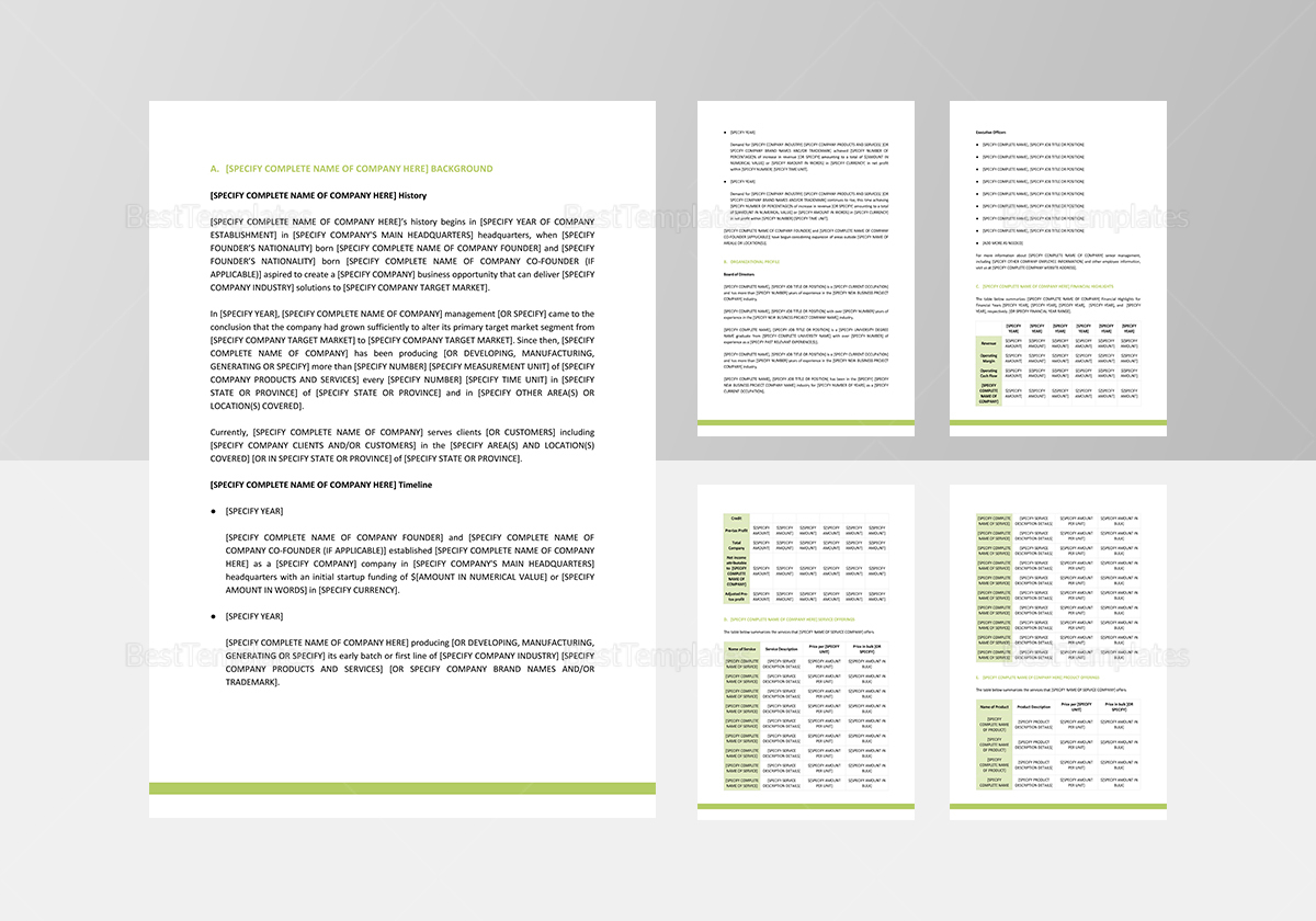 Google Docs Fact Sheet Template