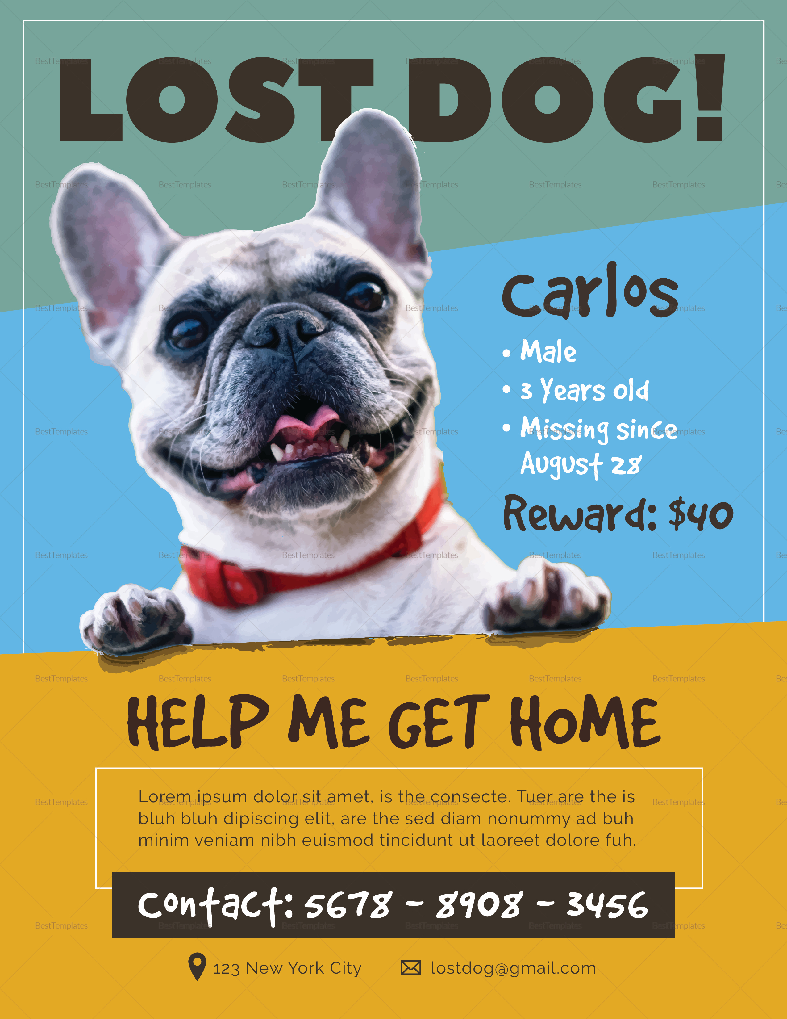 missing dog flyer template