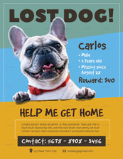 Lost Dog Flyer Design Template in PSD, Word, Publisher, Illustrator ...