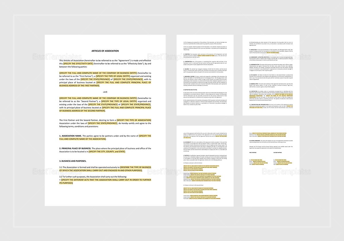 Sample Articles of Association Template