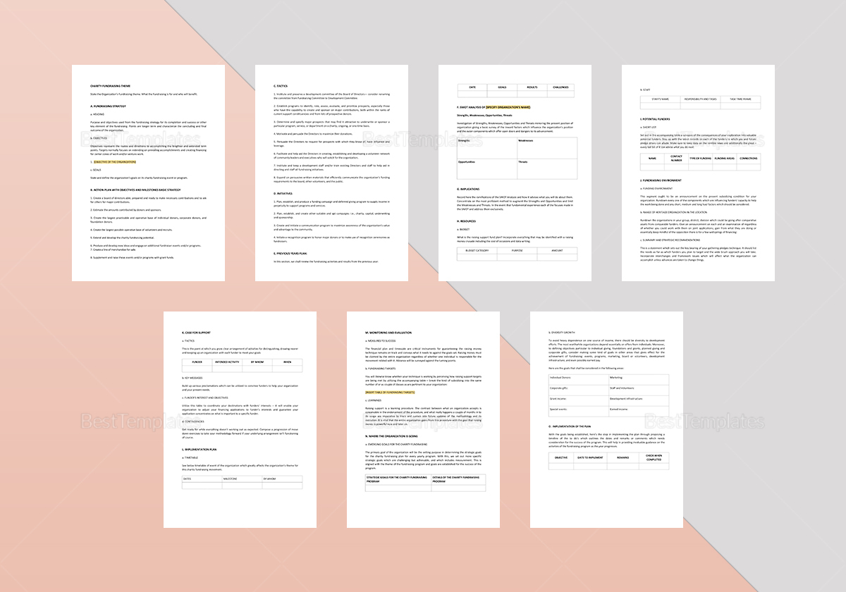 Editable Charity Fundraising Plan Template