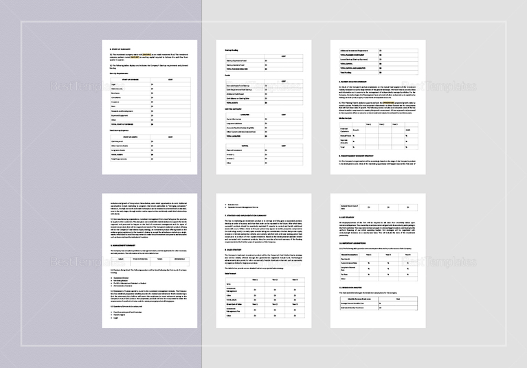 investment company business plan template