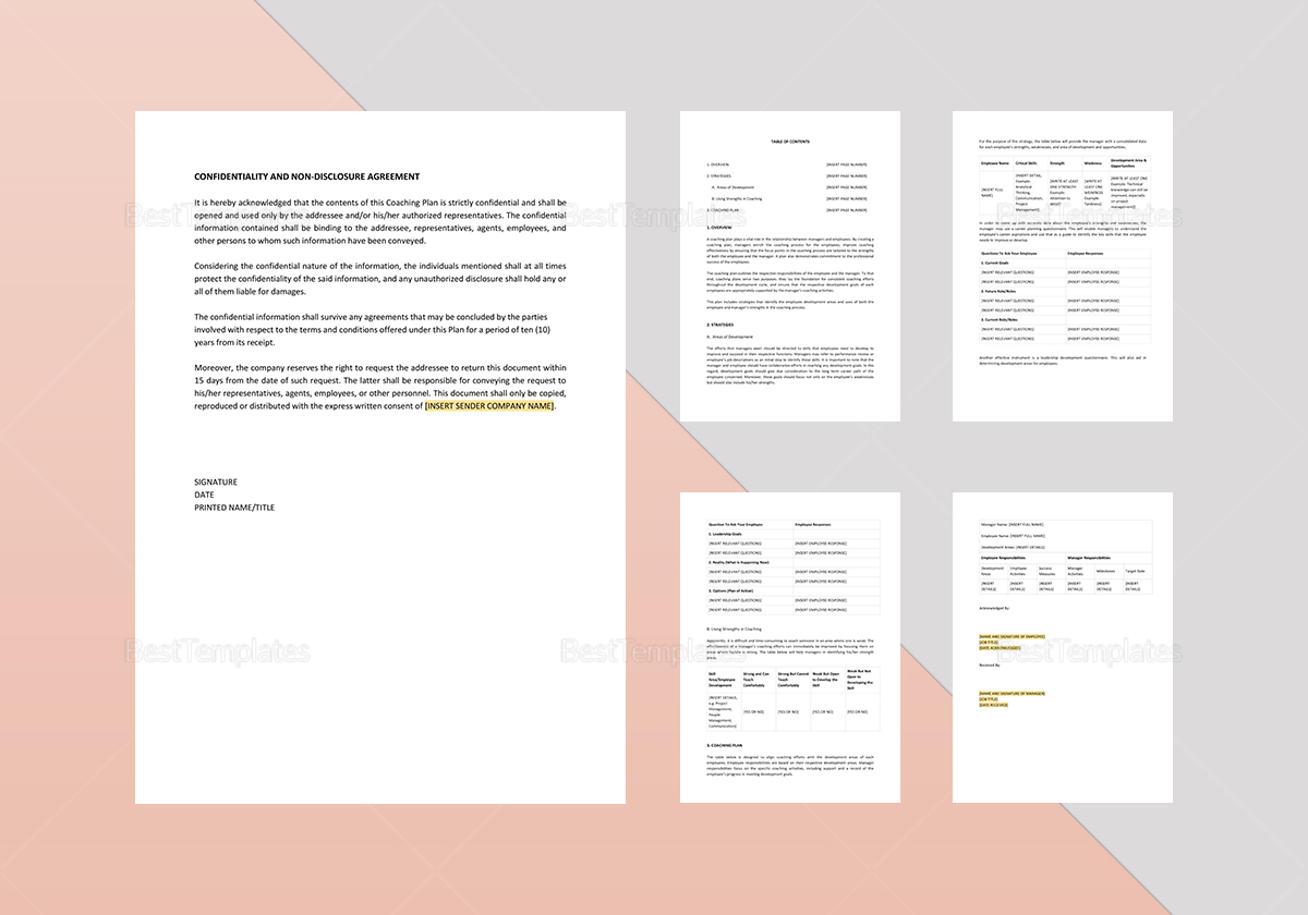 Sample Coaching Plan Template