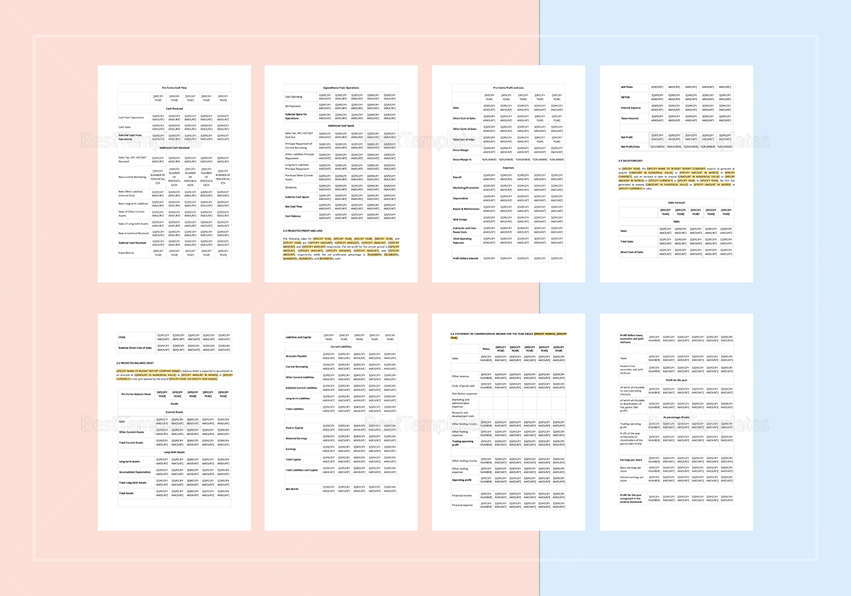 Simple Budget Report Template