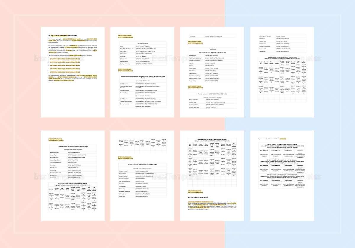 Sample Credit Report Template