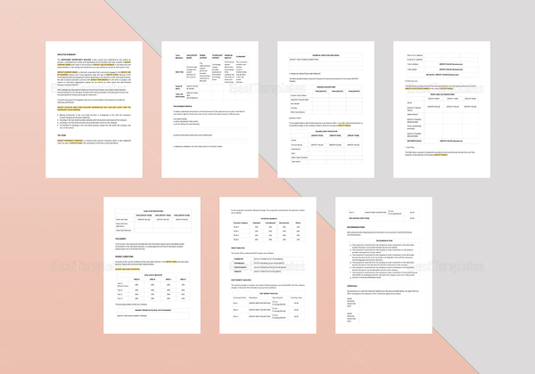 Investment Opportunity Analysis Template in Word, Apple Pages