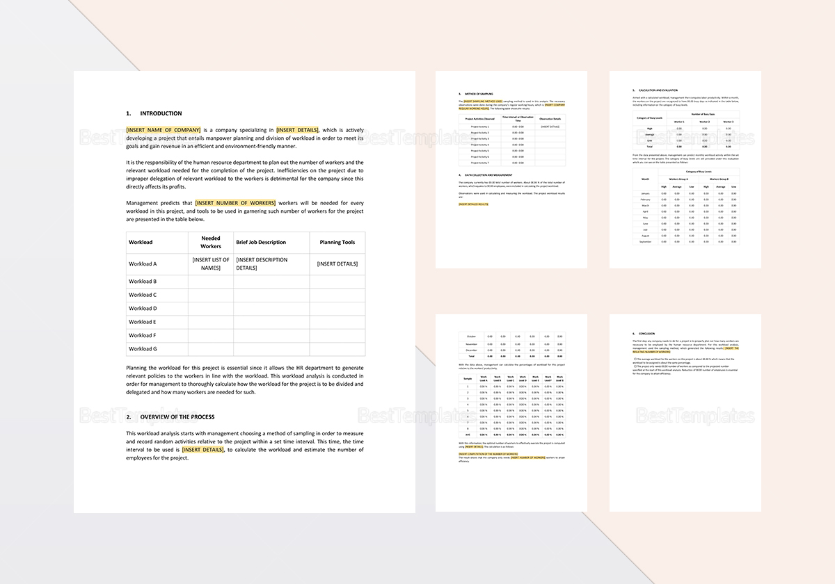 Sample Work Load Analysis Template