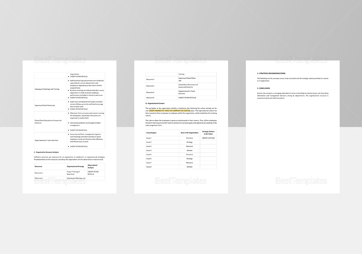 Simple Organizational Analysis Template