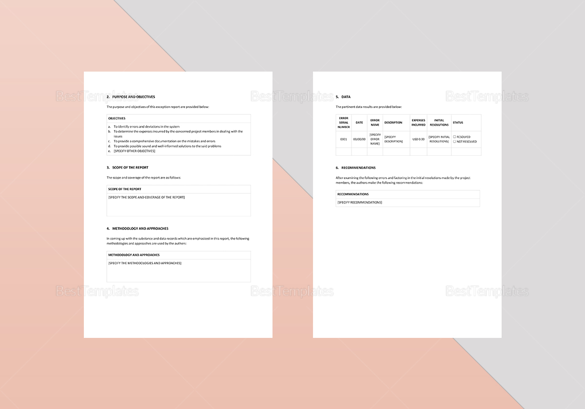 Editable Exception Report Template