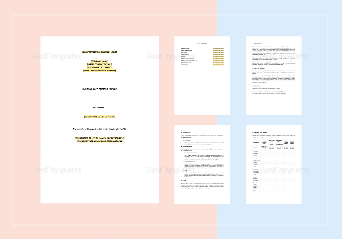 Business Data Analysis Report Template