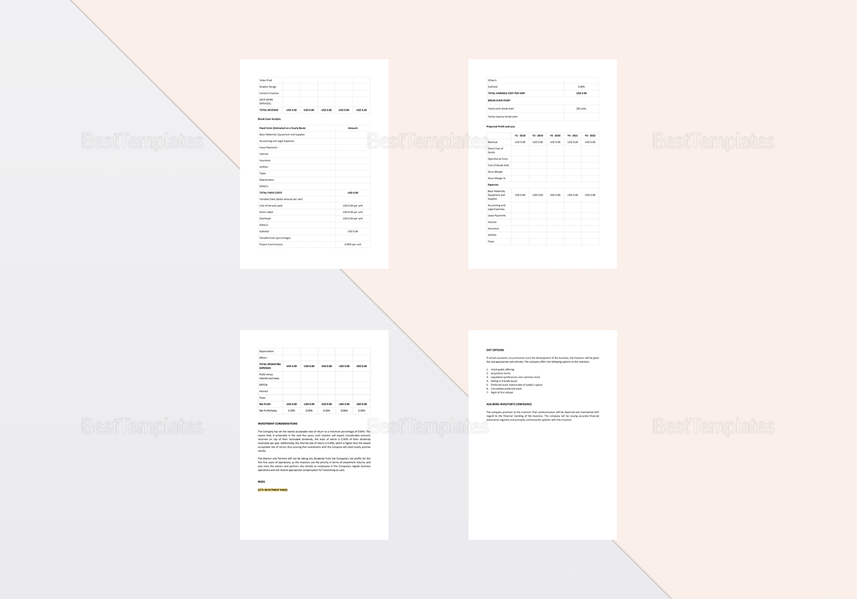 Business Investment Plan Template to Edit