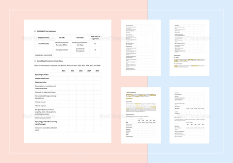 Current Situation Analysis Template in Word, Apple Pages