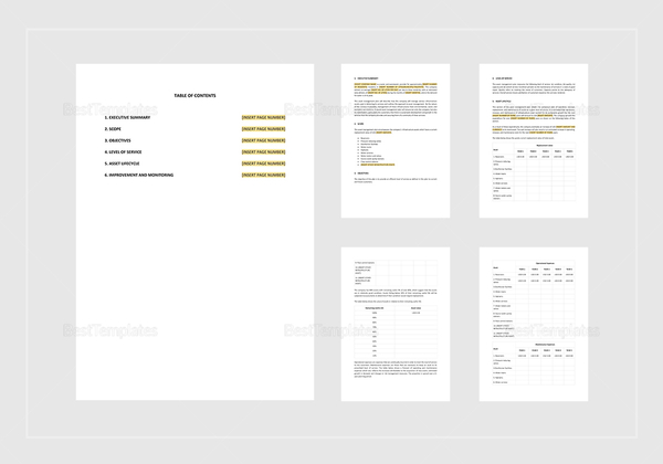 Asset Management Plan Template in Word, Apple Pages