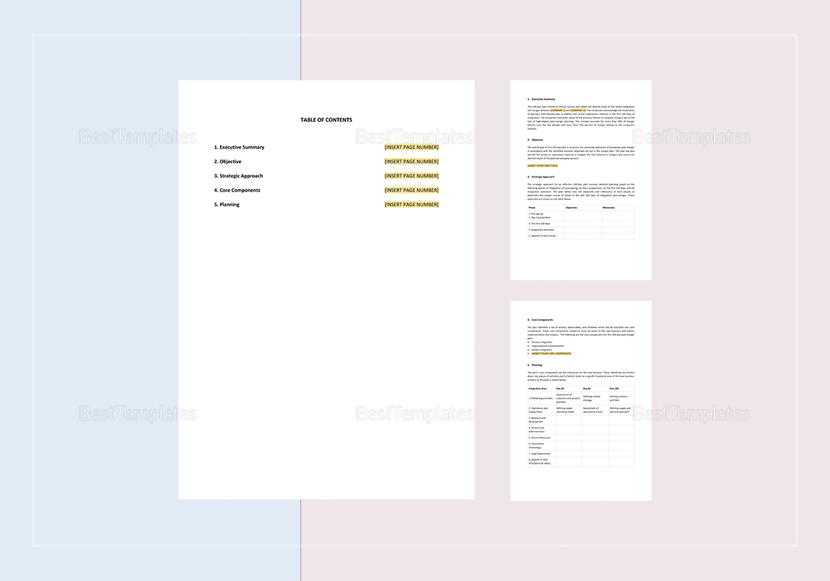 Sample 100-Day Plan Template