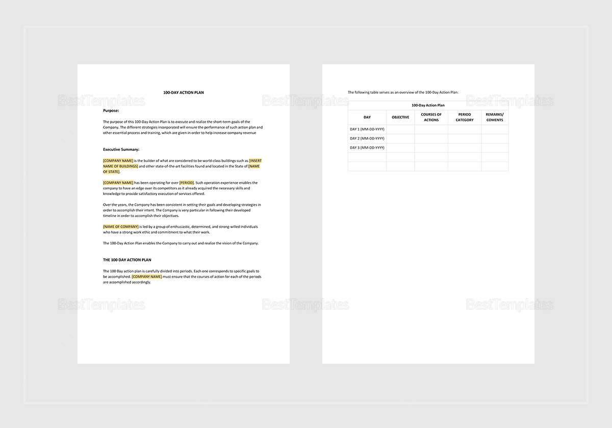 Sample 100 Day Action Plan Template