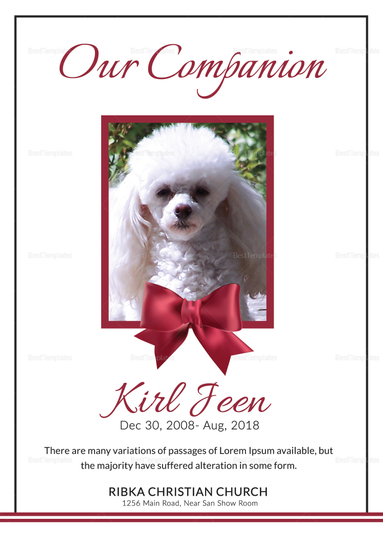 Lovely Pet Memorial Card Template in Adobe Photoshop, Microsoft Word