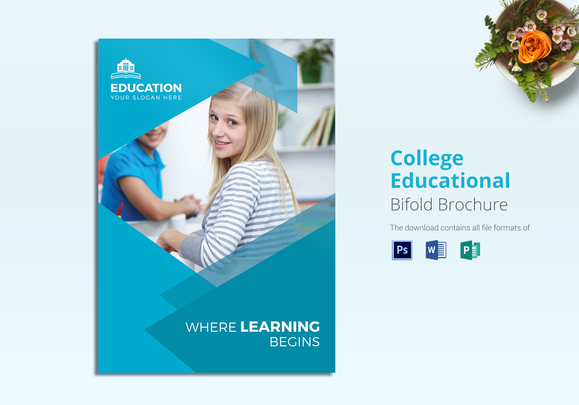 College Educational Brochure