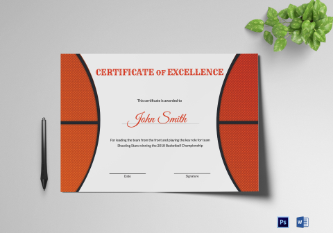 Basketball Excellence Award Certificate Design Template in PSD, Word