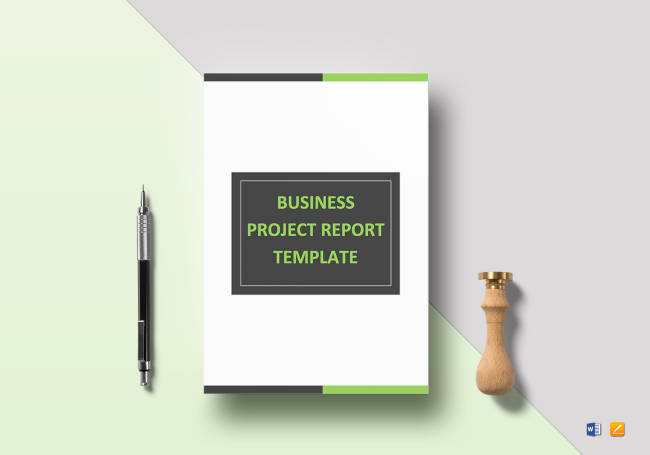 Business Project Report Template